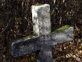 DSCF9600_08_11_2015