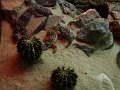 DSCF8713