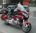 rockers_dog_2